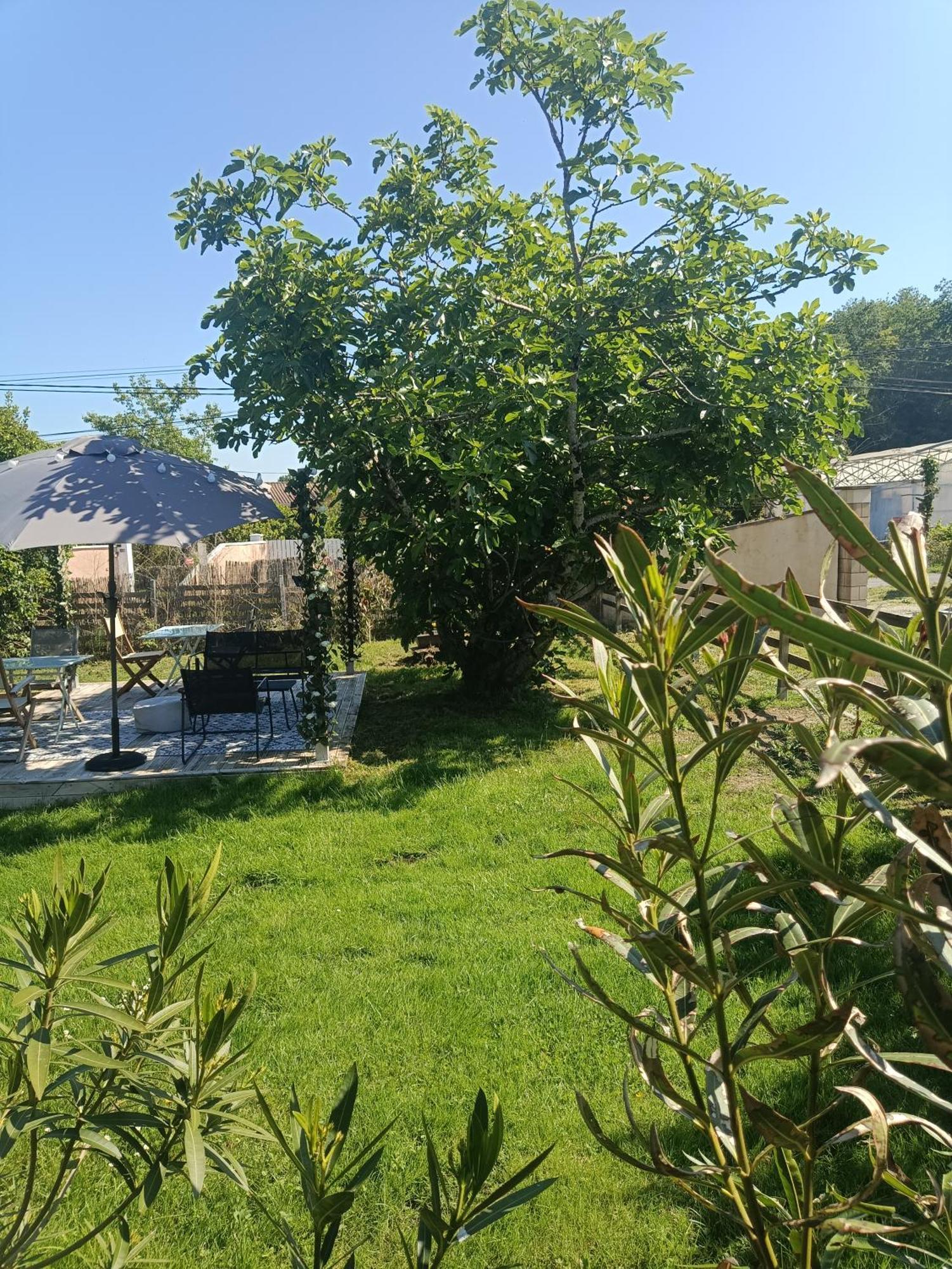 Sainte-Eulalie  马卡龙德塔塔旅馆酒店 外观 照片